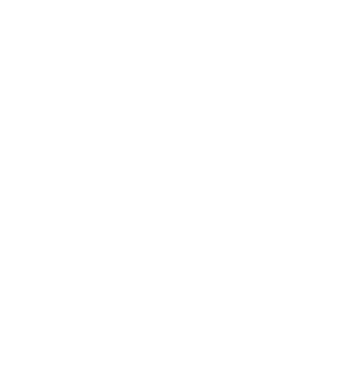 Logo NG