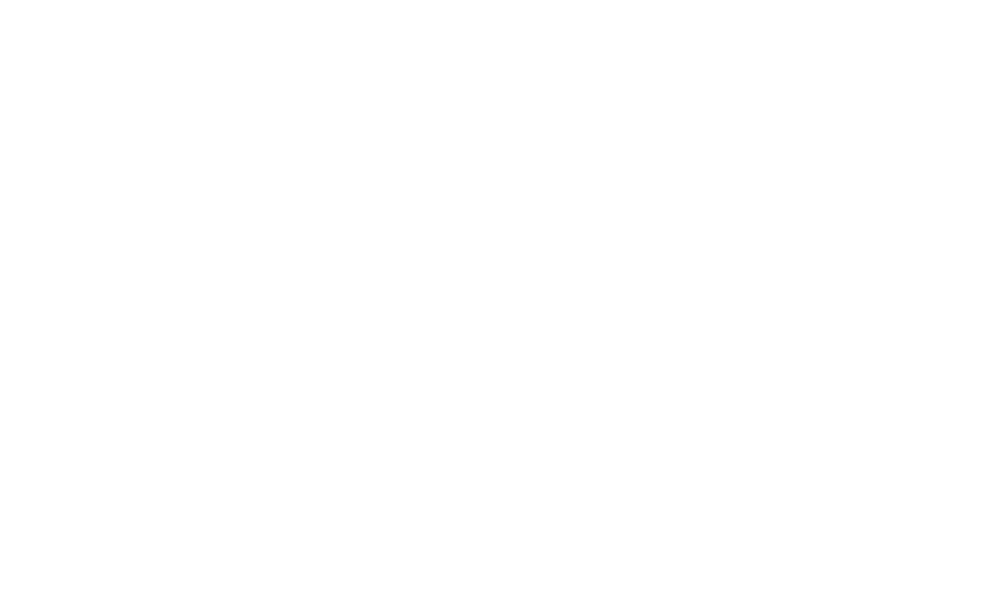 Logo Rynx